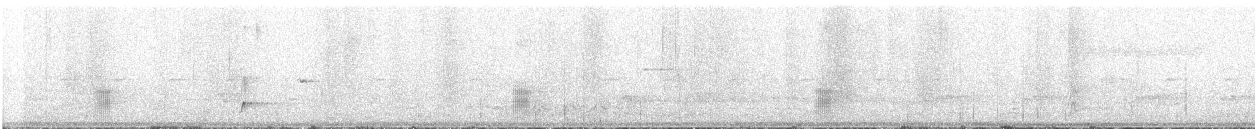 Black-tailed Tityra - ML644398066