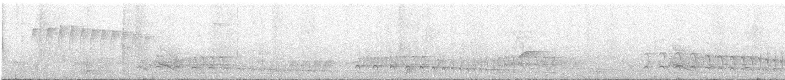 Streaked Xenops - ML644398070