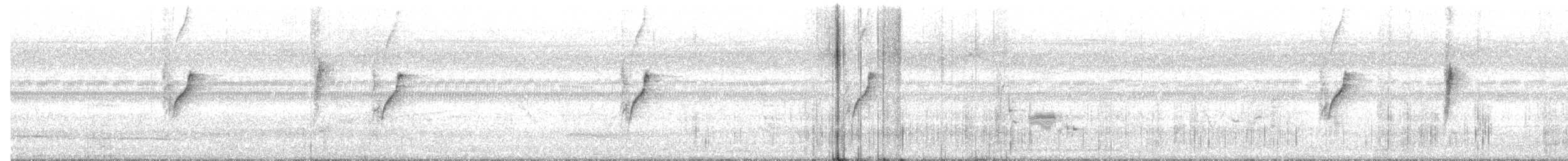 Souimanga asiatique - ML644398340