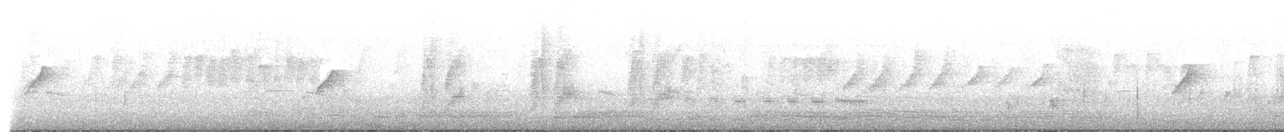 ブライスサンコウチョウ - ML644398569