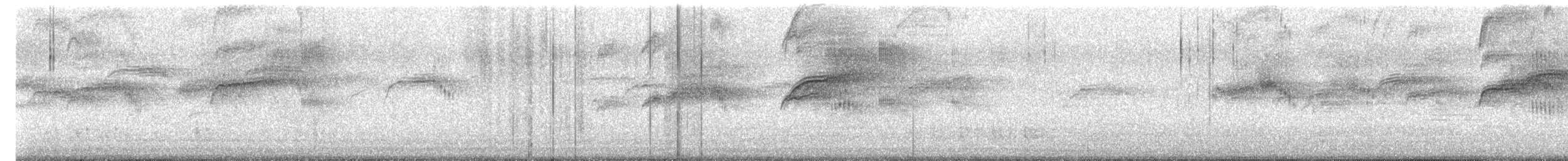 Common Swift - ML644399003