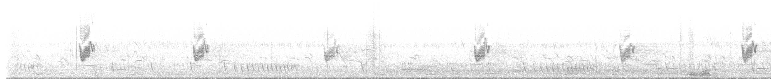 Savanna Nightjar - ML644399027