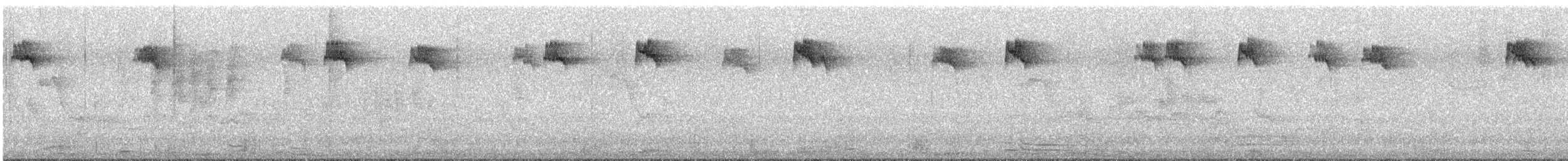 Grauschnäpper - ML644399120