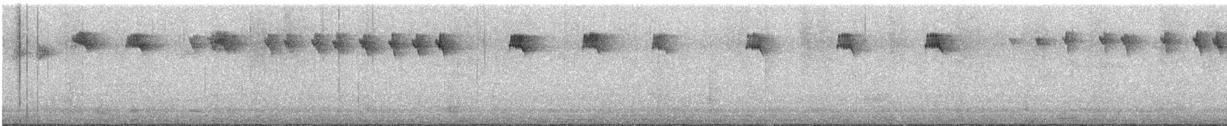 Grauschnäpper - ML644399121