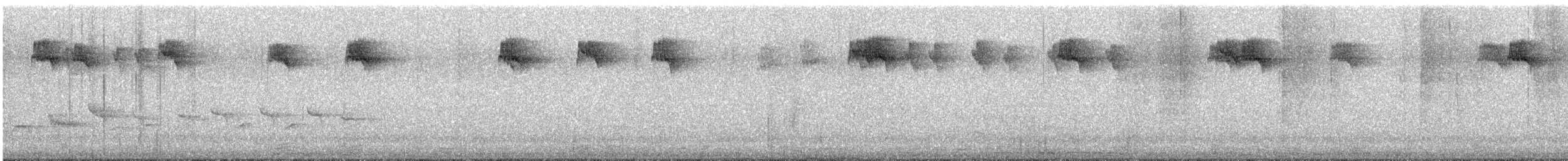 Grauschnäpper - ML644399122