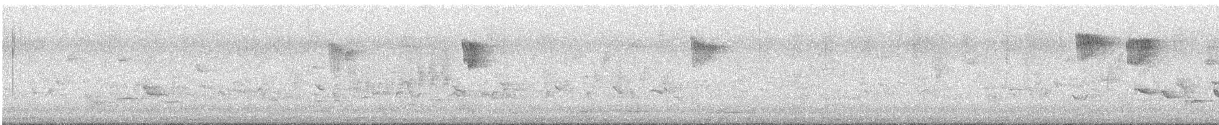 Grauschnäpper - ML644399123