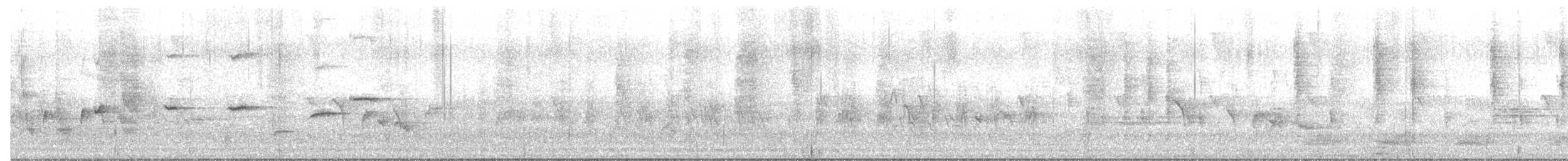 Abanico Pechipinto - ML644399149