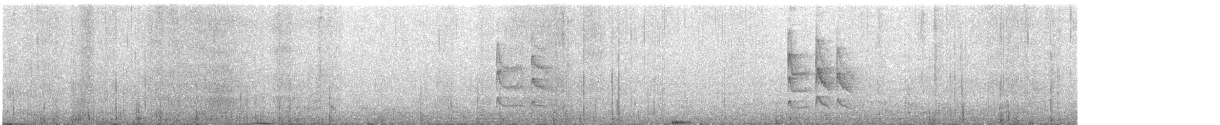 Mouse-colored Tyrannulet - ML644399228