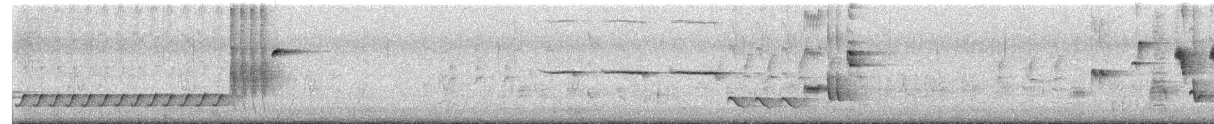 Зулбаран гургалдай - ML644399281