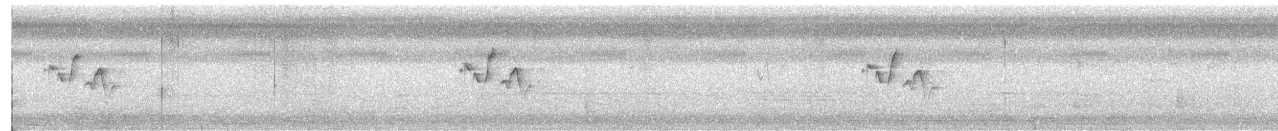 Gray-hooded Warbler - ML644399332