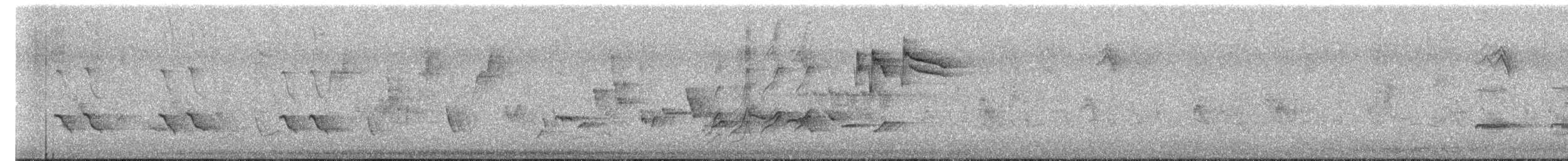 Tordo bottaccio - ML644399479