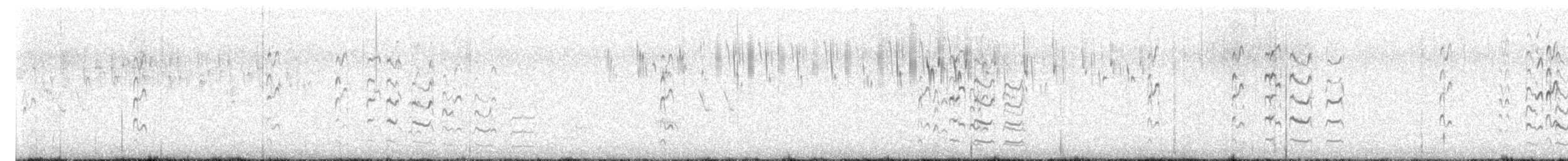 ムナオビトサカゲリ - ML644400108