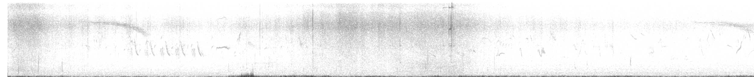 עלווית חומת-גחון - ML644400312