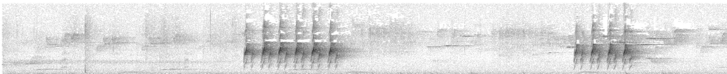 Australian Logrunner - ML644400464