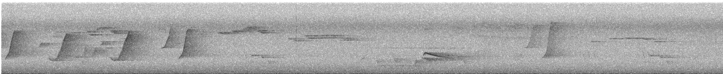 Gelbbauch-Dickkopf [pectoralis-Gruppe] - ML644401052