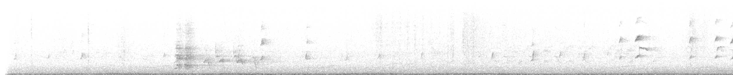 medosavka hlučná - ML644401158