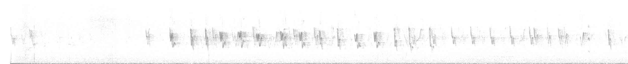 Canary Islands Chiffchaff - ML644401182