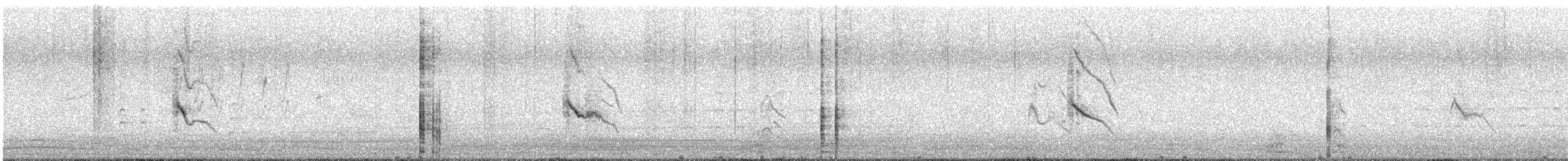 Tasmanian Nativehen - ML644401356