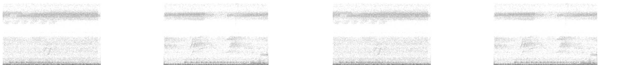 passerine sp. - ML644401397