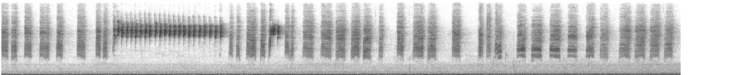 White-browed Scrubwren - ML644401466