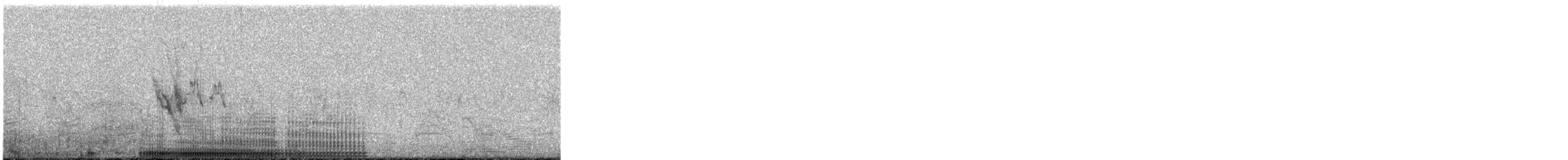 Australian Pelican - ML644401698