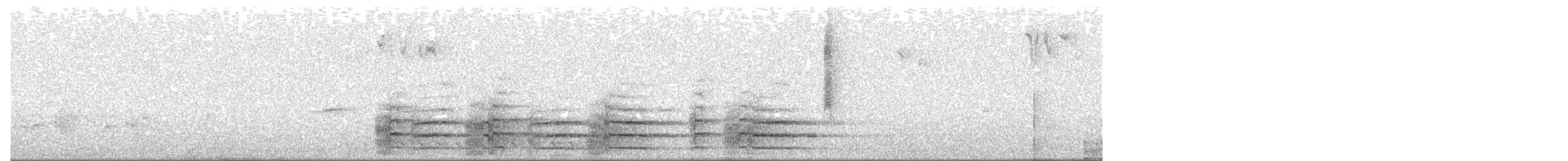 Black Currawong - ML644402158