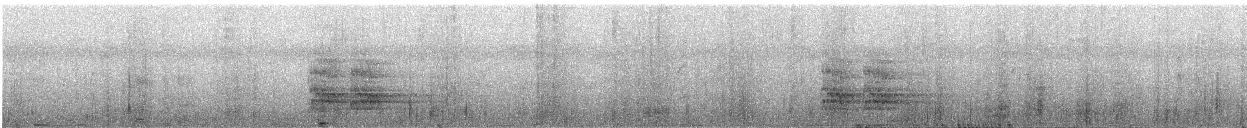 Gray Currawong - ML644403567