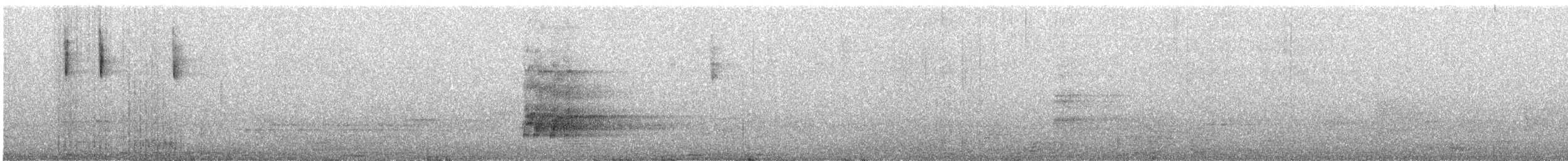 Black Currawong - ML644403913