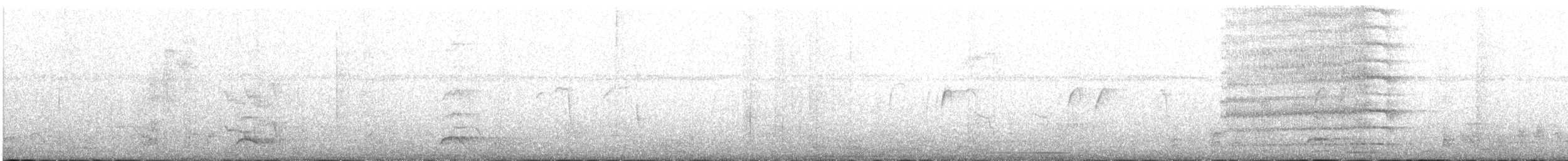 Pabuç Gagalı Tiran - ML644404458