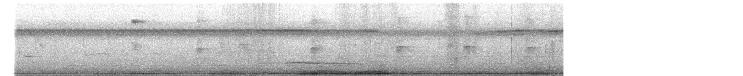 コシギダチョウ - ML644404508