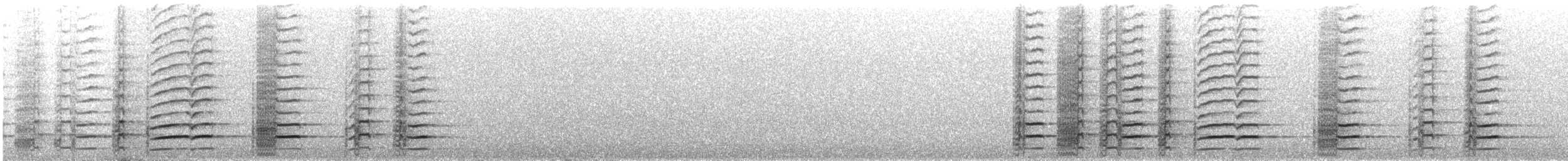 Black Currawong - ML644404680