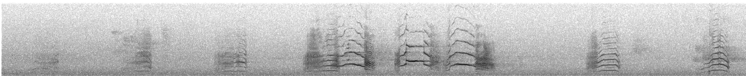 キイロオクロオウム - ML644404759