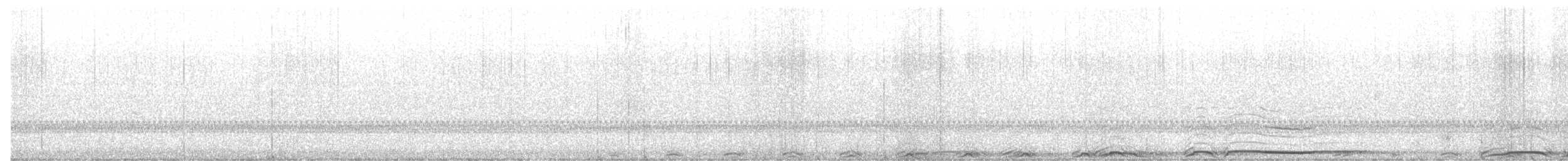 Barred Owl - ML644405359