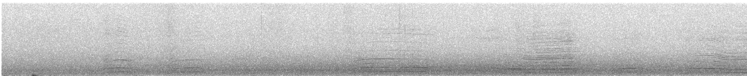 Gray Currawong (Clinking) - ML644405578