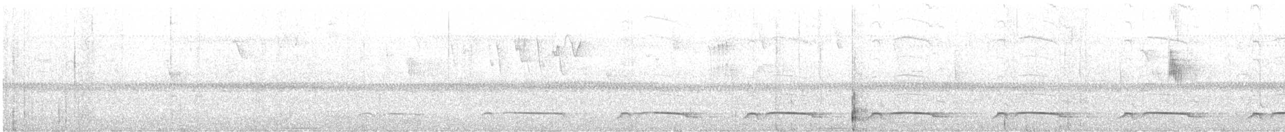 svartstjertketsal - ML644405707