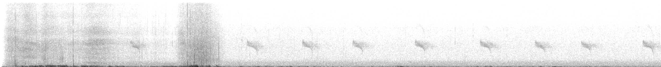 Schluchtenzaunkönig - ML644405737