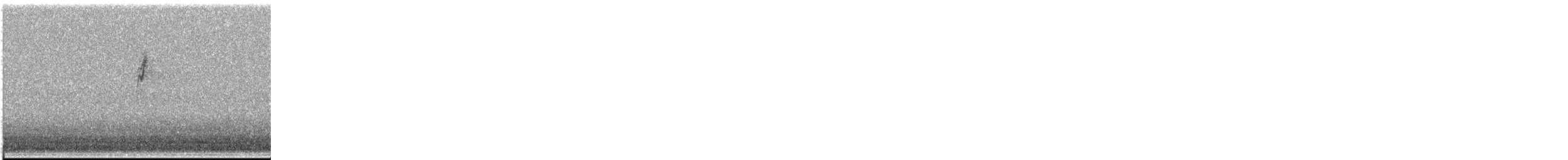 Parulidae sp. - ML644407286