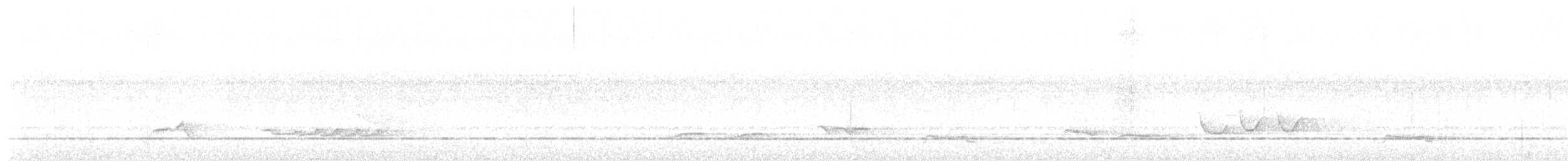 Hauxwell's Thrush - ML644407701