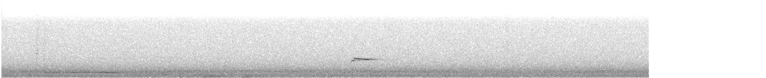 Сивка звичайна - ML644408071