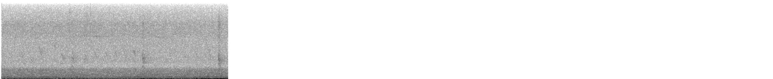 Quiscale bronzé - ML644409124