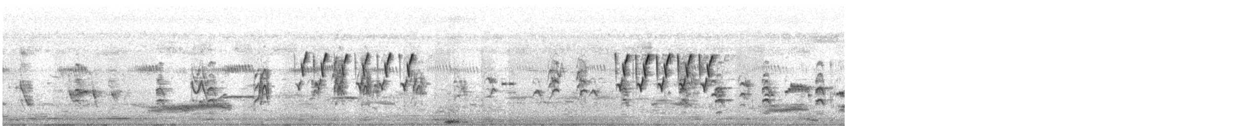 Prinia Cenicienta - ML644409679