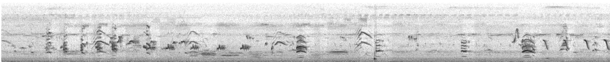 Кулик-довгоніг чорнокрилий - ML644409915