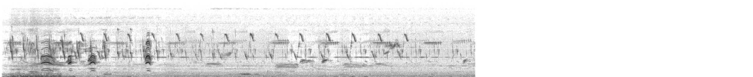 Кулик-довгоніг чорнокрилий - ML644409916