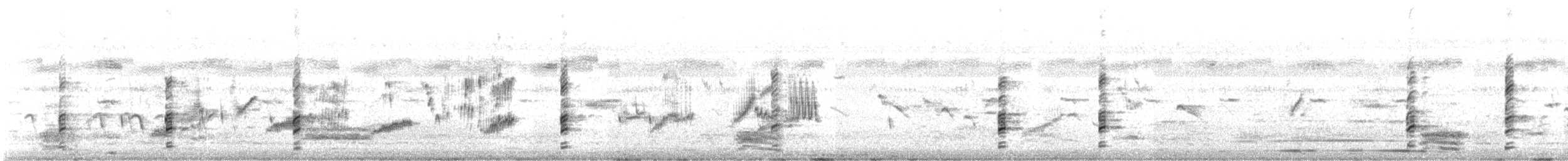 Кулик-довгоніг чорнокрилий - ML644409921