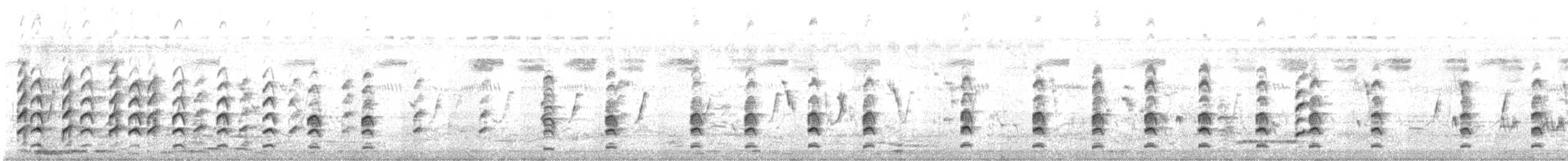 Кулик-довгоніг чорнокрилий - ML644409922