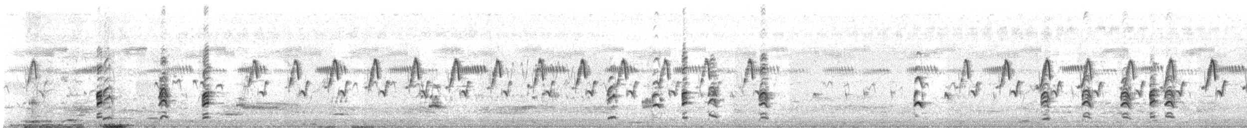 Кулик-довгоніг чорнокрилий - ML644409923