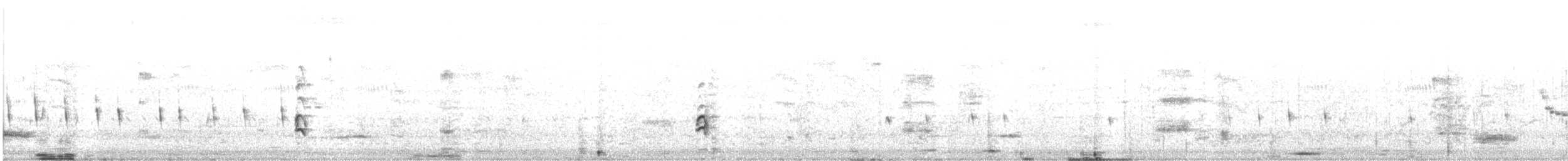 Кулик-довгоніг чорнокрилий - ML644409924