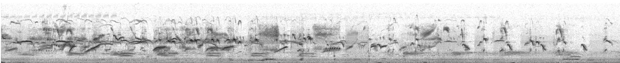 Шпак строкатий - ML644409979