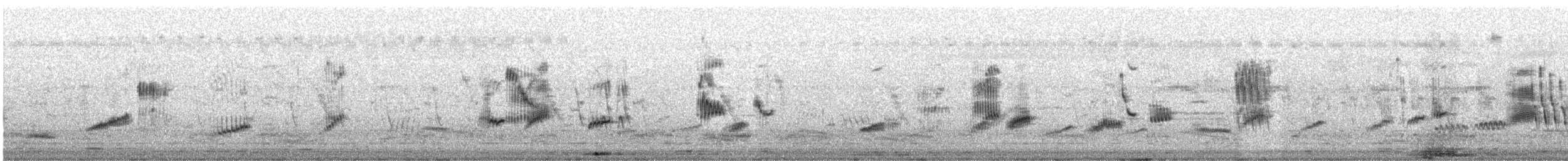 Шпак строкатий - ML644409980