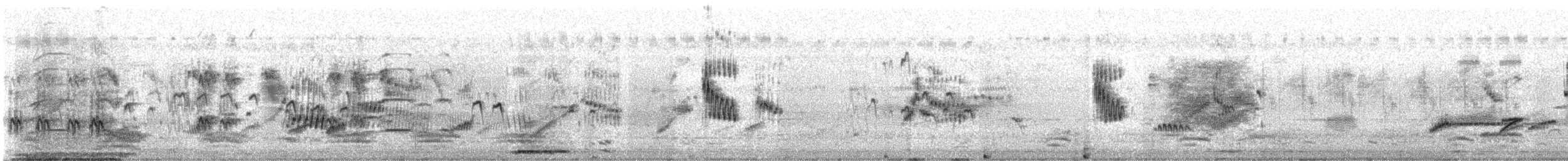 Шпак строкатий - ML644409981